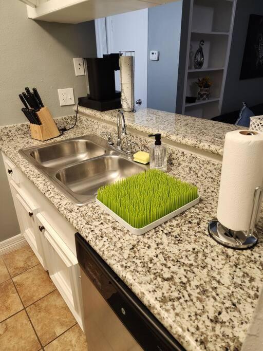 Blue Shark *E4* @ Midtown Comfortable 1Br King Apartment Houston Exterior photo